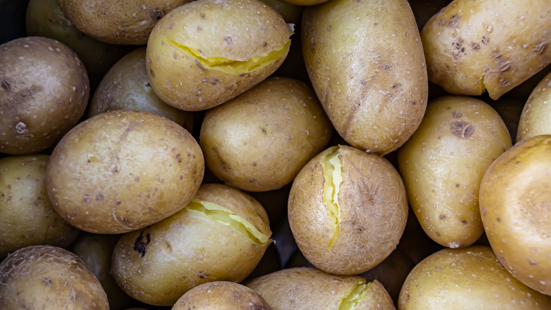 potato-spoiled-mass-thumb-rss.png