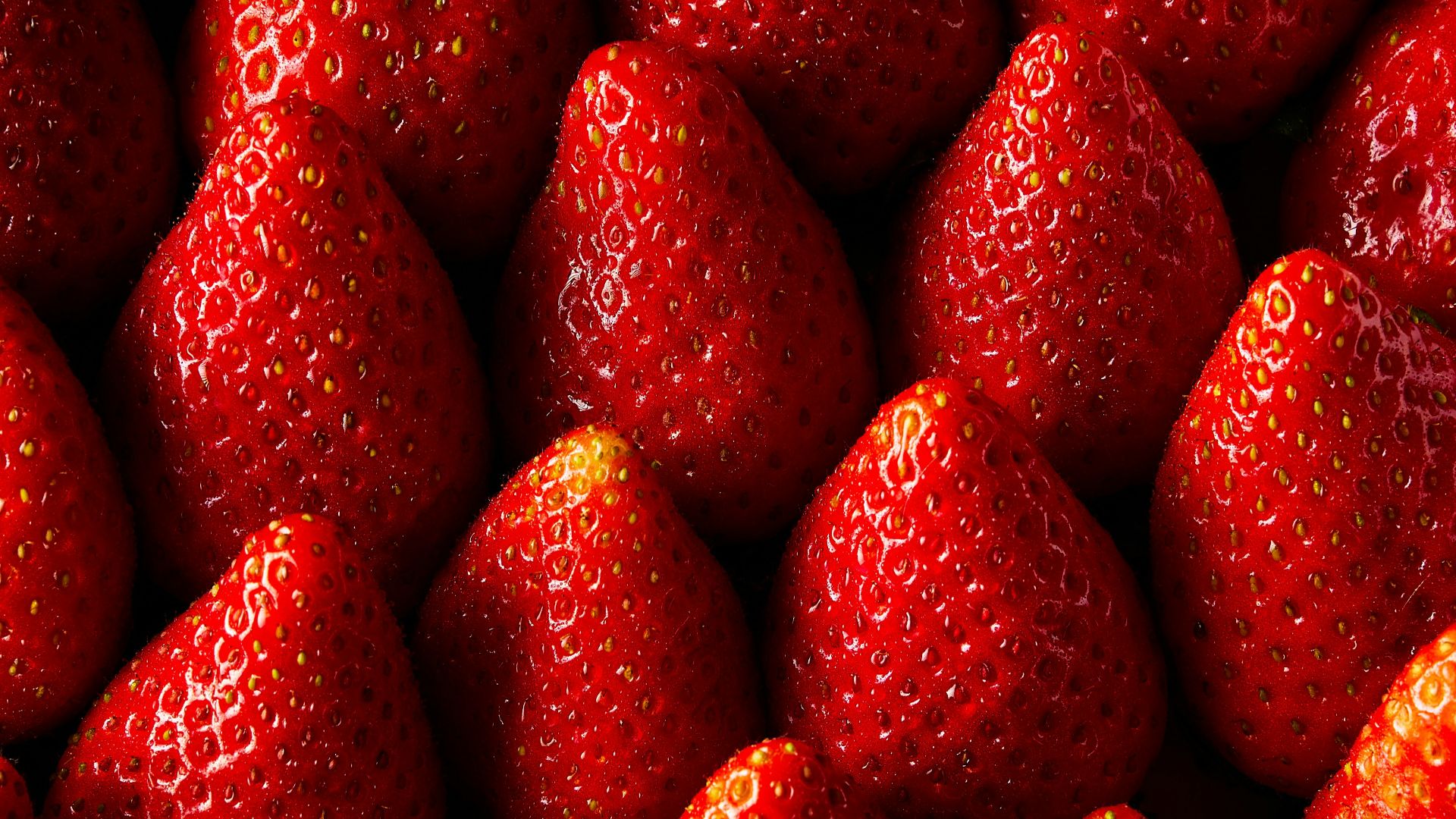1783598870c2a949e344f062f4507e8b7b727daa09a374df31.jpg