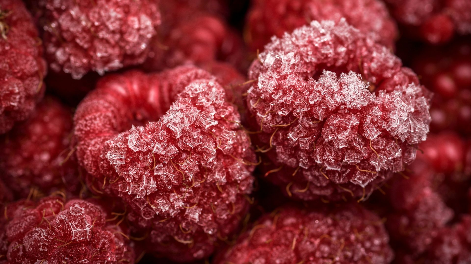1786379952009e4212421c7ede8bd3b865d2391017720fde19.jpg