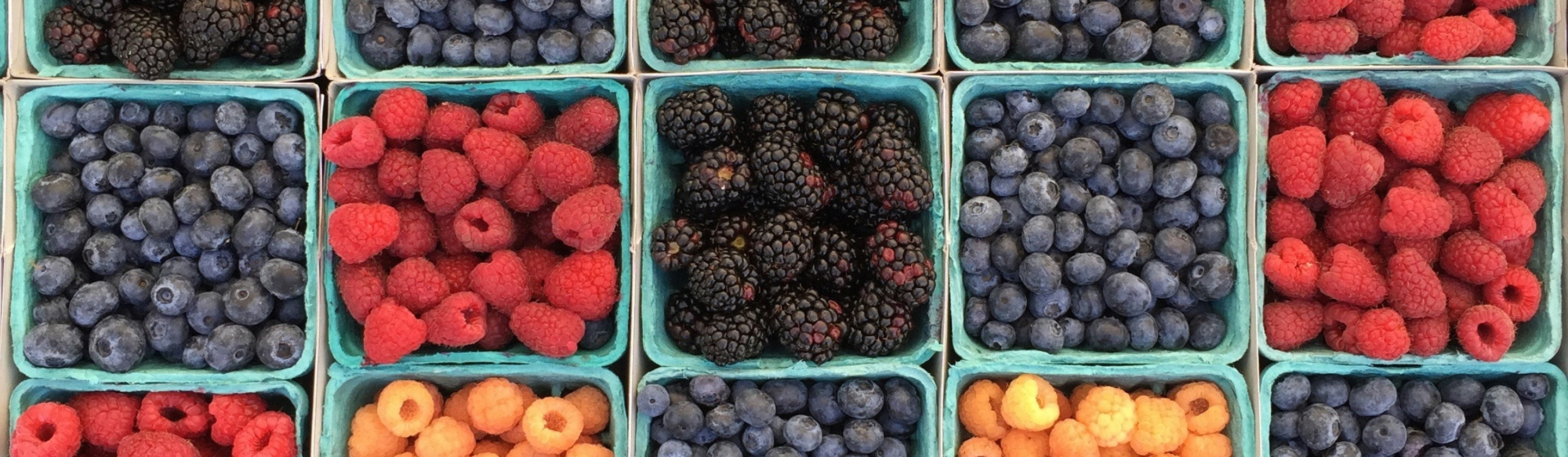 1786550659a31af6069aa8ab97e3938fc54c7cbaa9f03731d9.jpg