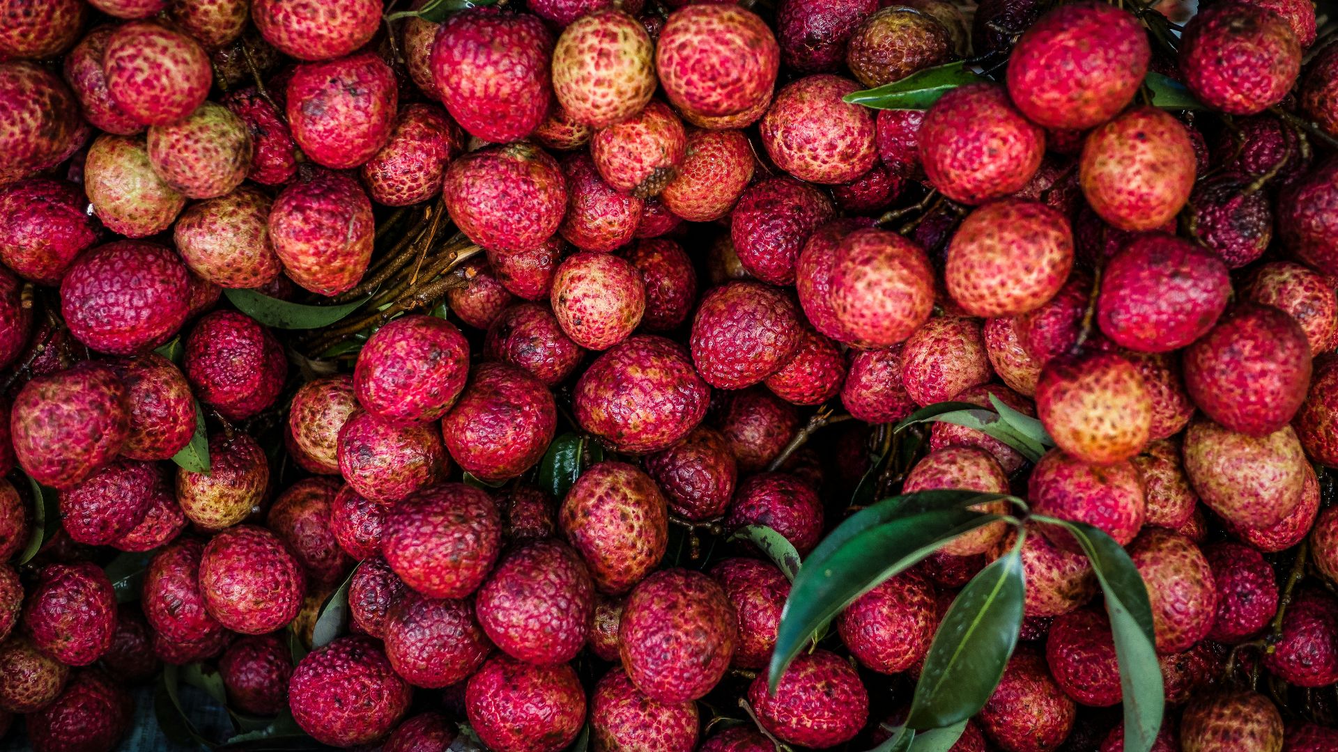 17865642570165a7842dd378dcde3884e1645fd3fc14eb642e.jpg