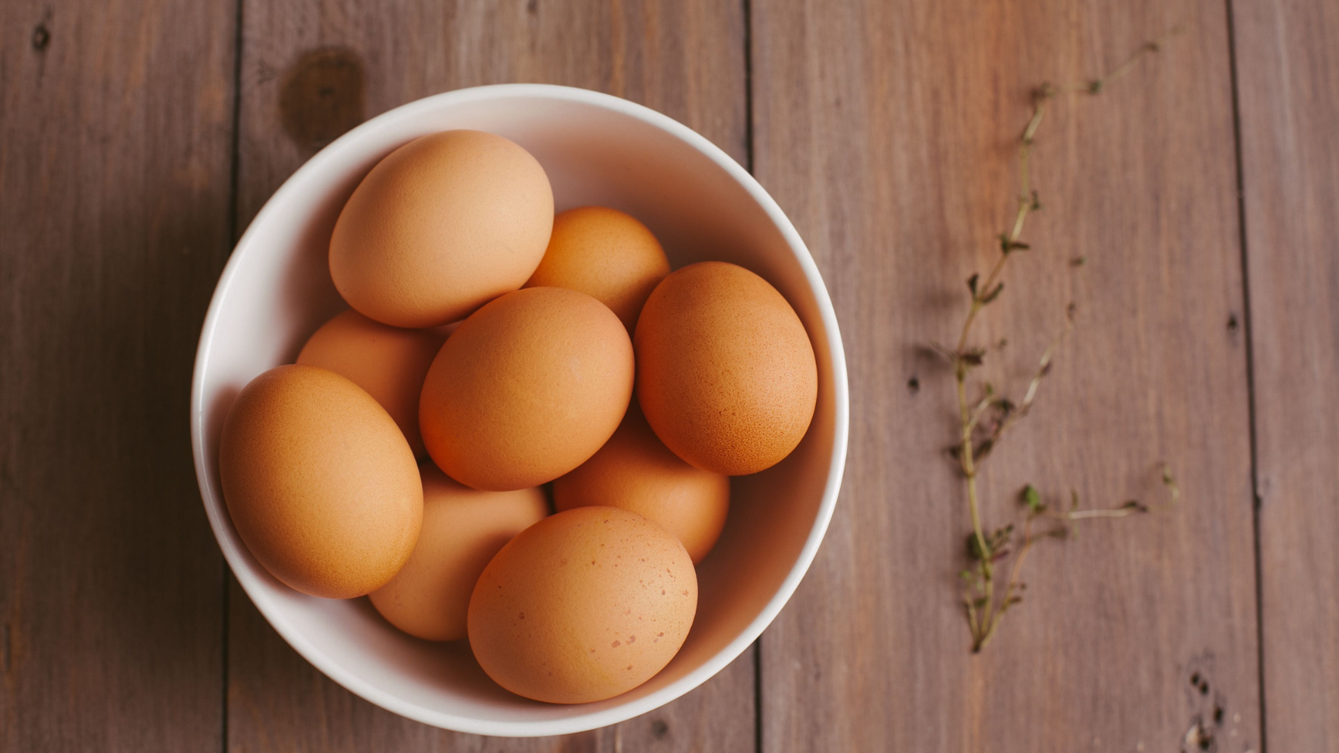 bowl-off-eggs-thumb-rss.png