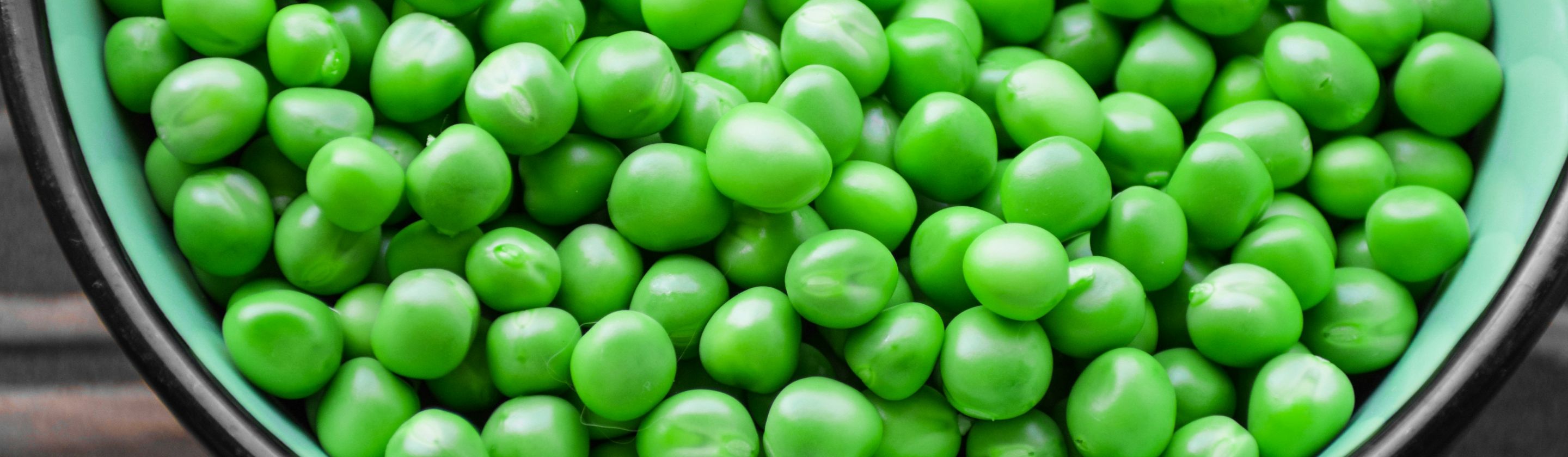 178733786901d286285e09b69d798136739481371183fb58b1.jpg