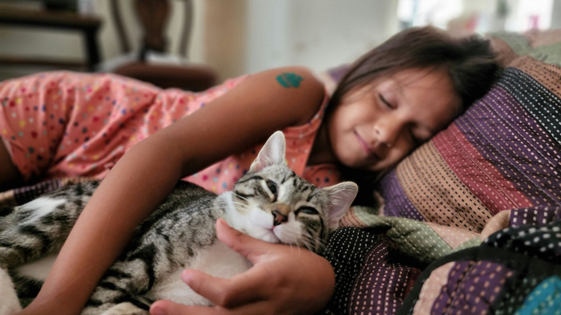 a woman lying on a couch with a cat