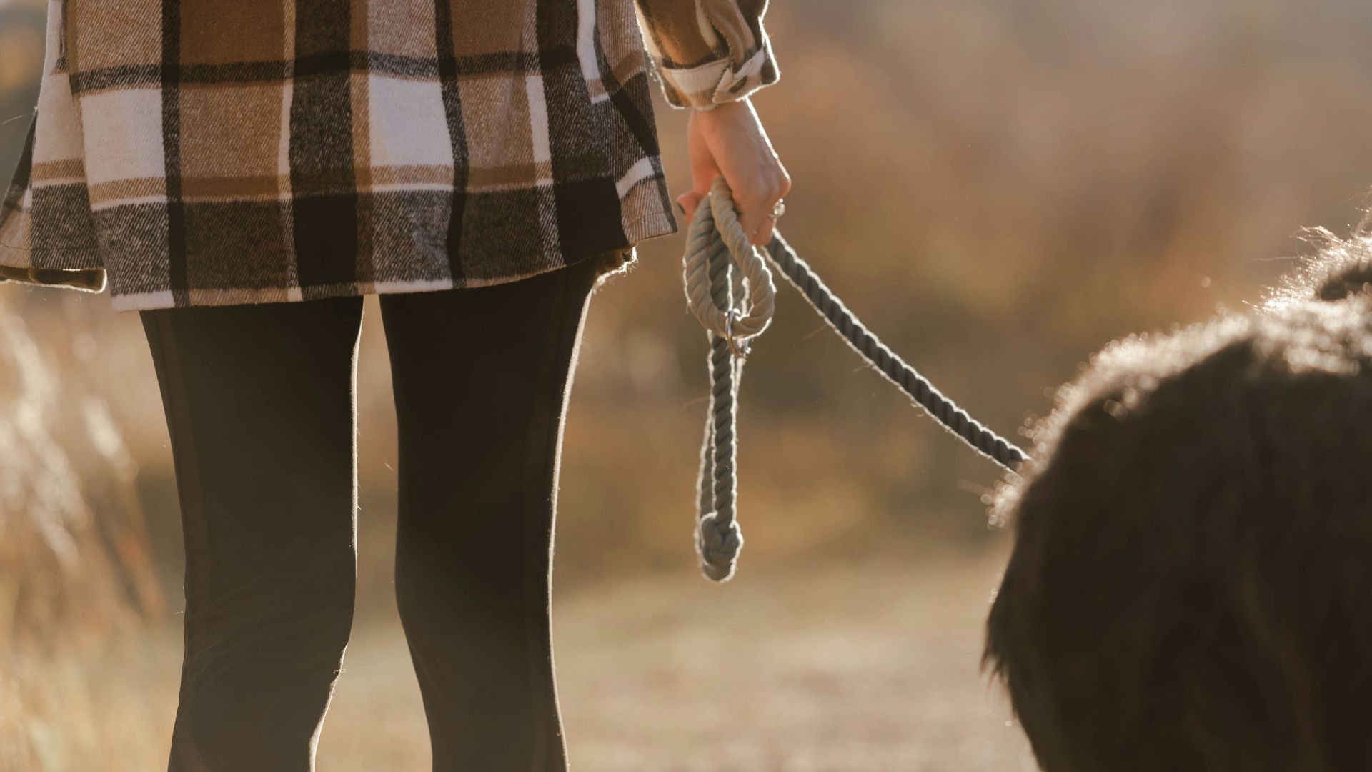 a woman walking a dog on a leash
