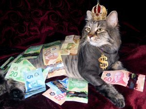 money-1144553-300x225.jpg