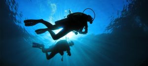 nassau-night-dive1-300x134.jpg