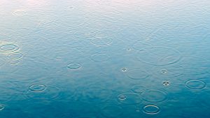 raindrop-3629132-300x169.jpg