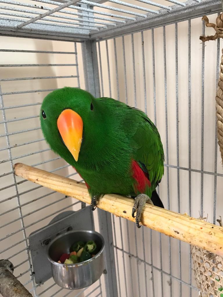 animal23-1536572322917.JPG