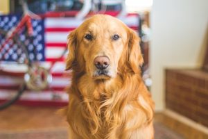 caleb-fisher-7320-unsplash-300x200.jpg