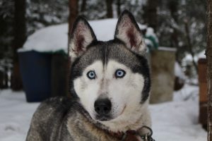 ellie-lord-73791-unsplash-300x200.jpg