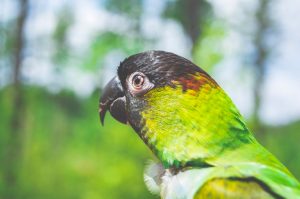 timothy-dykes-630423-unsplash-300x199.jpg