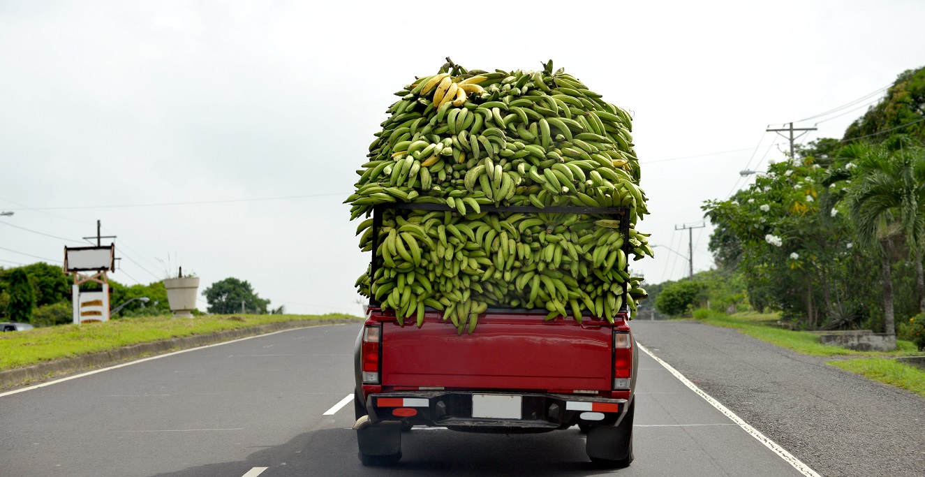 truck24-1538262819426.jpg