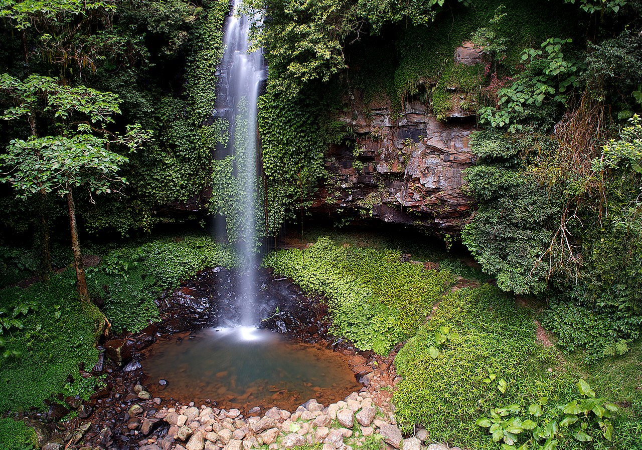 1280px-rainforest_flowing_water-1544138650032.jpg