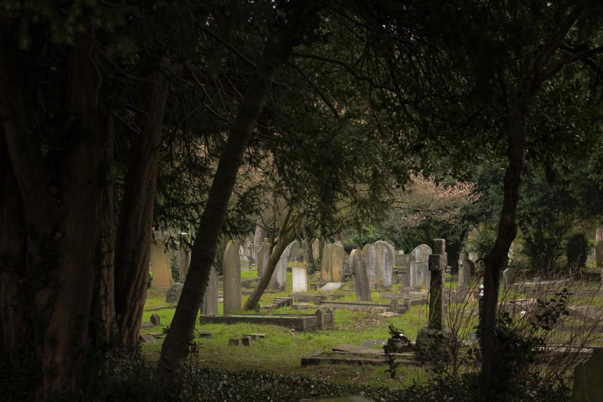 14588-1546196067765.jpg