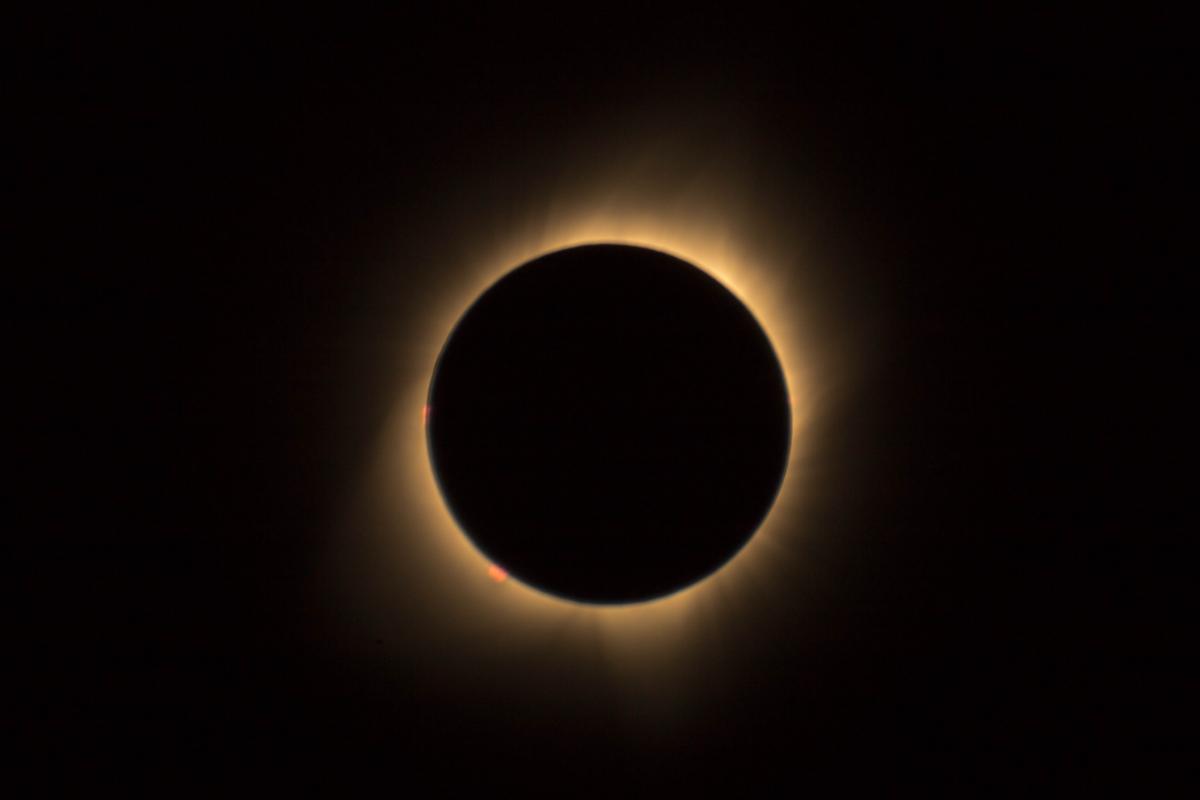 14622-1546212581613.jpg