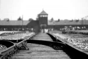 birkenau-402324-300x201.jpg