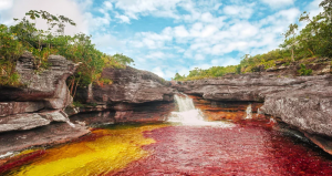800px-Flashpacker_Connect_-_Cano_Cristales_.webp_-300x159.png