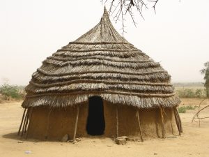 niger-80758-300x225.jpg