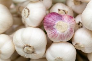 garlic-84691-300x200.jpg