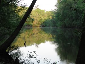 Cong_weston_lake-300x225.jpg
