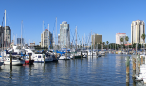 Downtown_St._Petersburg_Florida_from_Marina-300x177.png