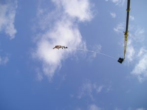bungy-184_1920-300x225.jpg