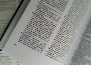 dictionary-1189303_1920-e1576678277922-300x216.jpg