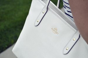 purse-2597948-300x199.jpg