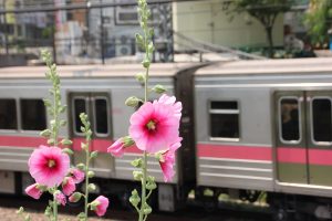 train-2441344-300x200.jpg