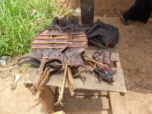 800px-Bushmeat_-_Buschfleisch_Ghana-300x225.jpeg
