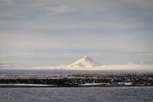 26235194532_23e1ab584a_o-300x200.jpg