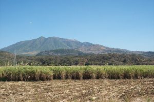 800px-Ceboruco_panoramica-300x200.jpg