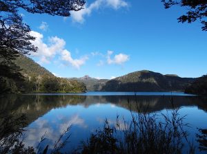 800px-Lago_Parai%CC%81so_Parque_Nacional_Puyehue_19-300x224.jpg