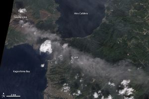 sakurajima_ali_2010306-300x200.jpg