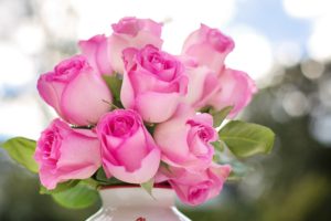 pink-roses-2191636-300x200.jpg