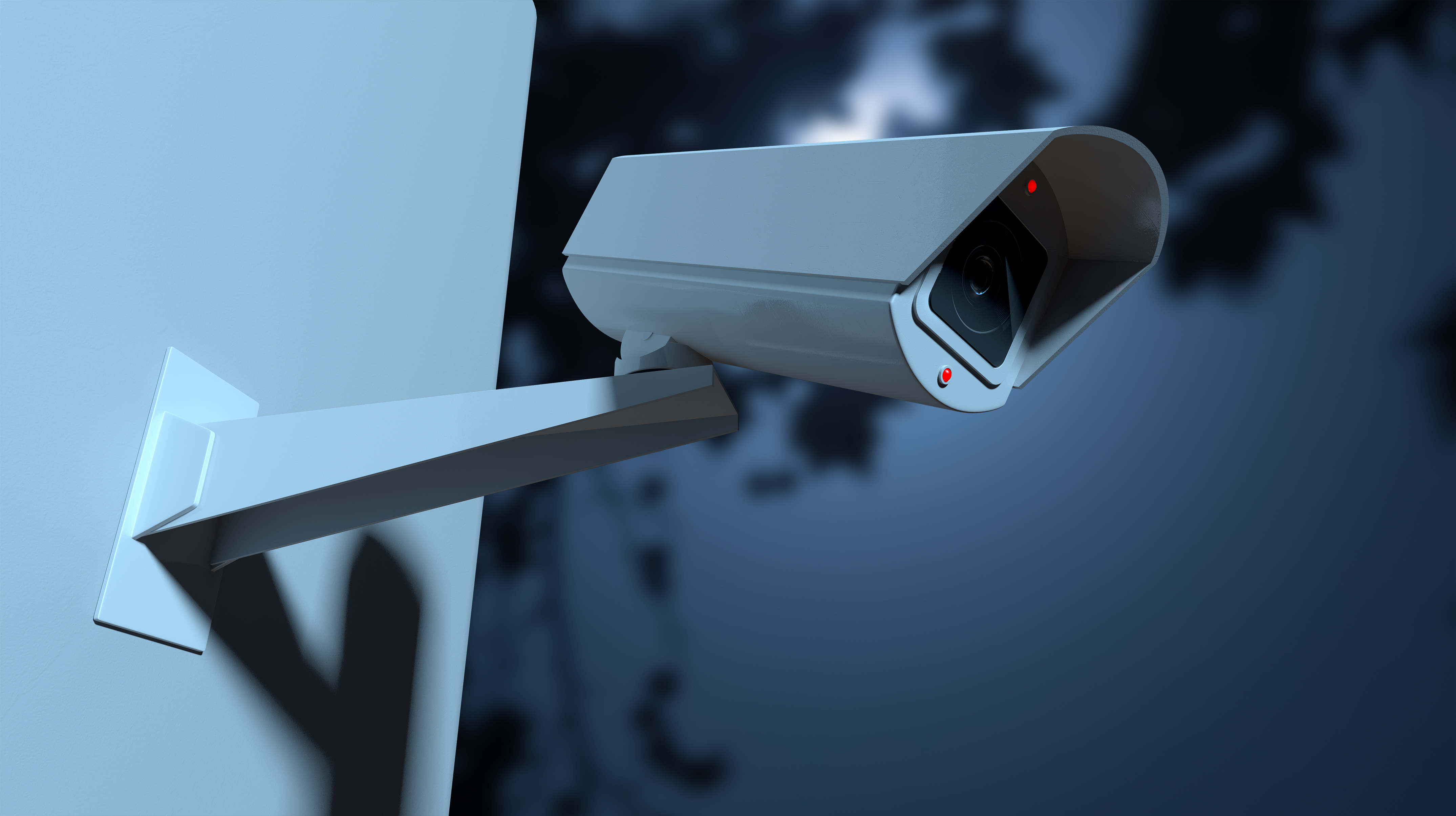 Caught on Home Security Cameras facts