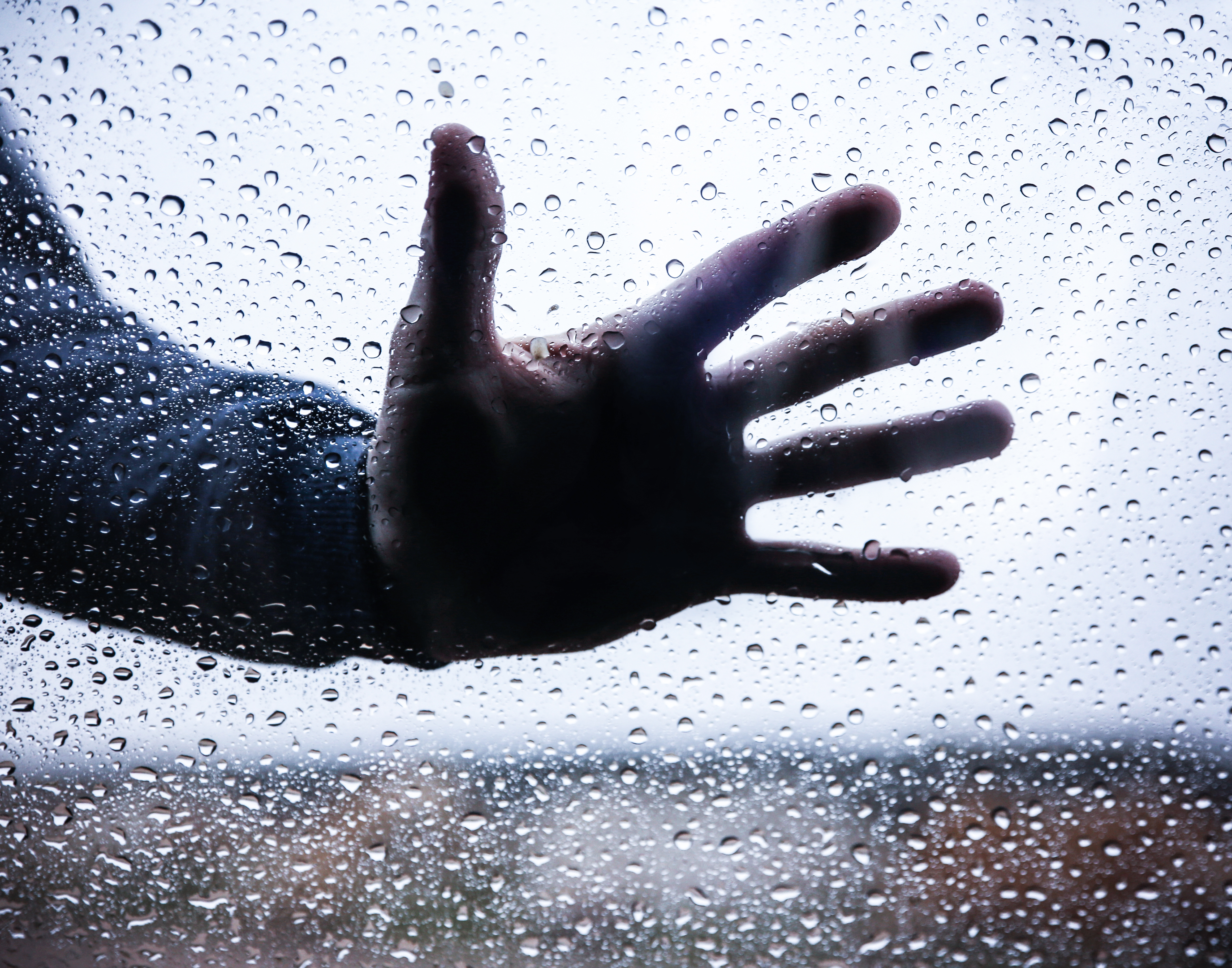 Things They’ve Seen But Can’t Explain facts