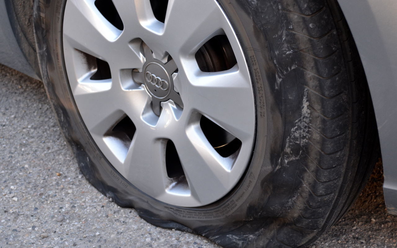 Revenge Stories facts