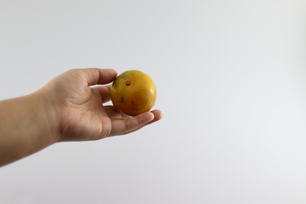 Snapped Back At Bully Facts