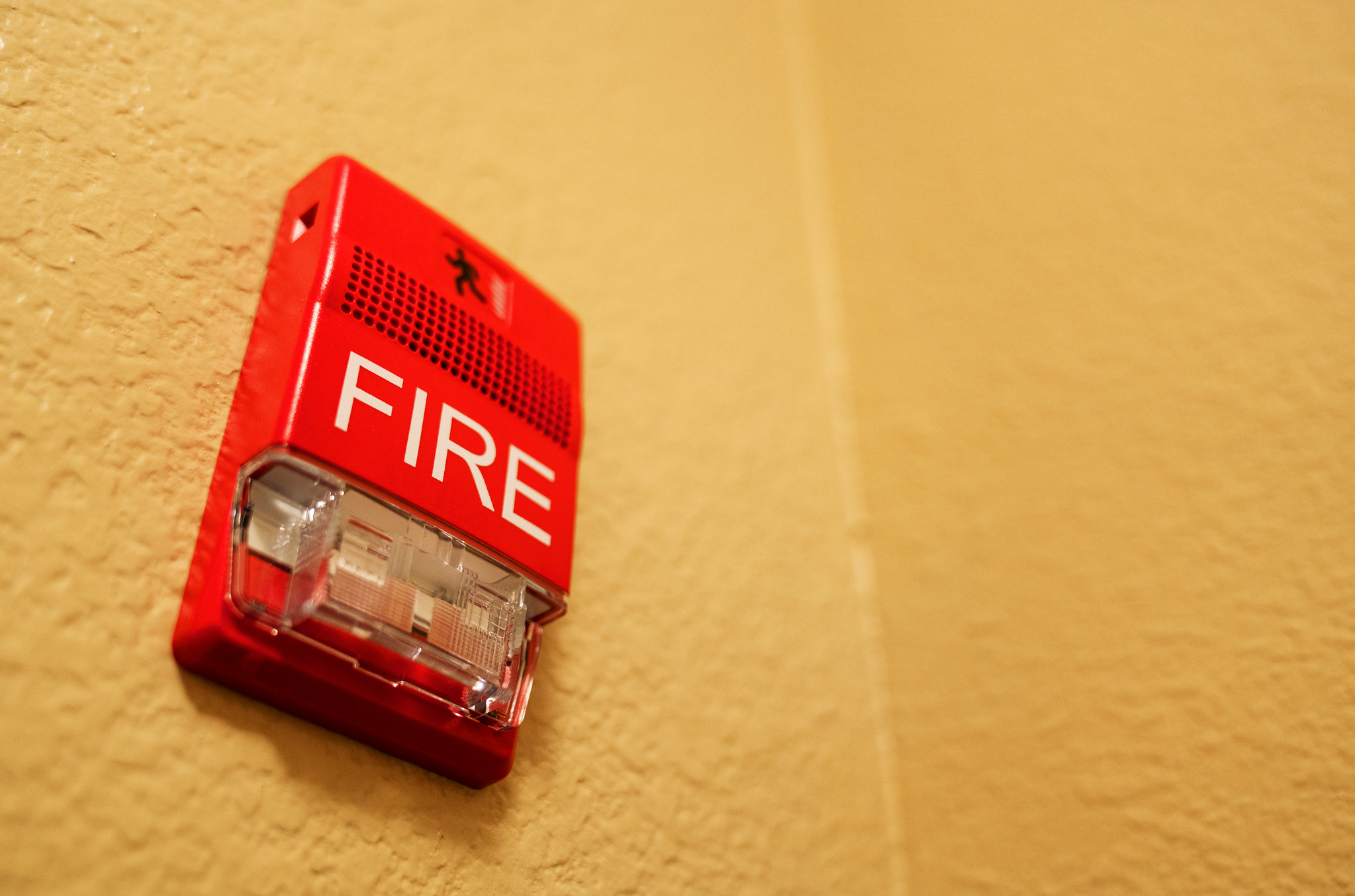 Helicopter Parents facts