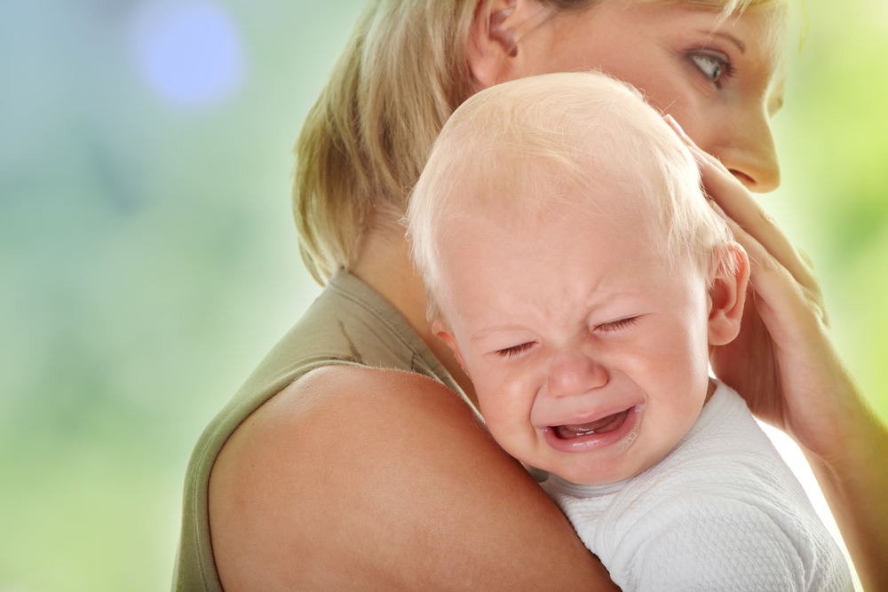 Worst Father-In-Law facts 