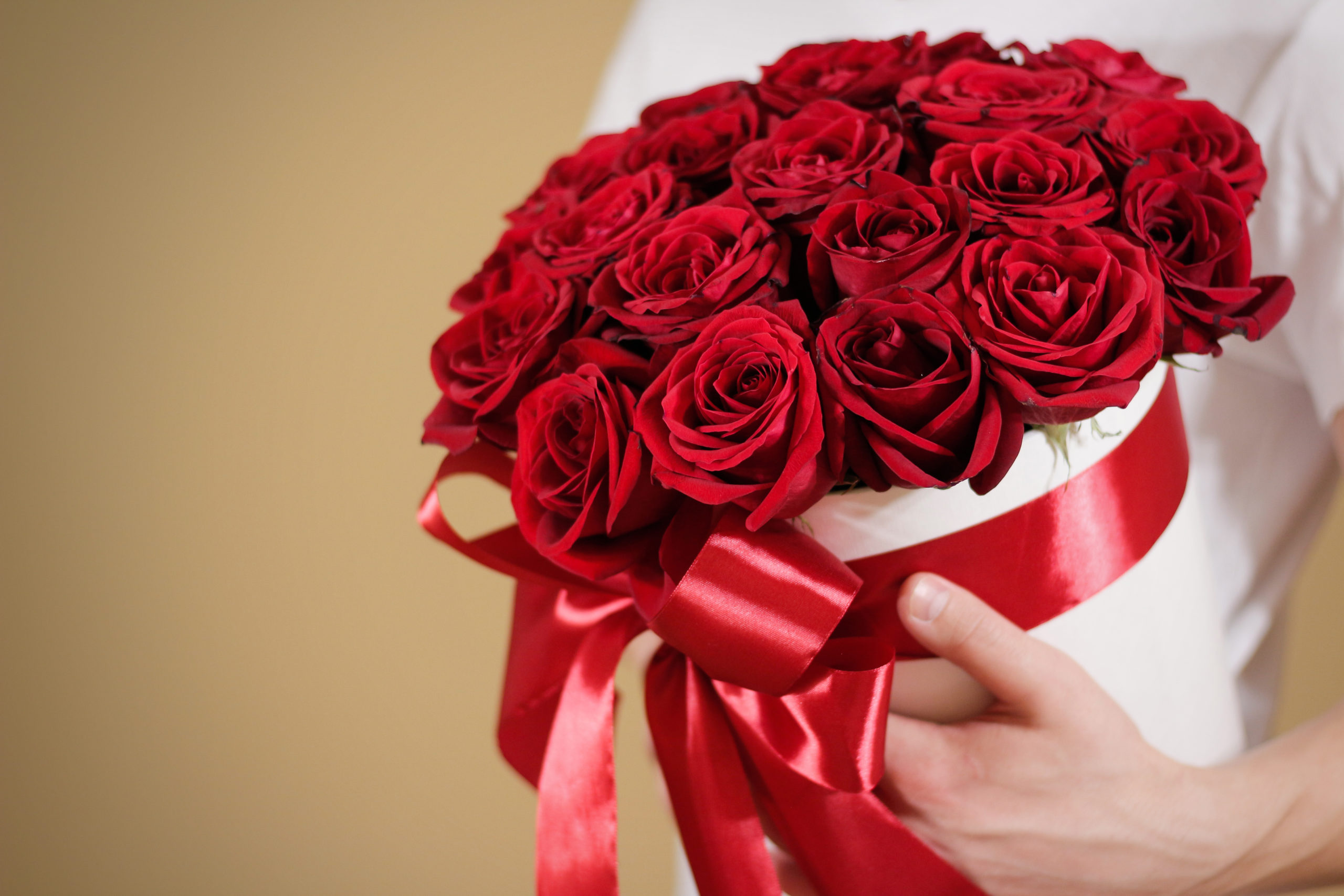 Caution to the Wind facts