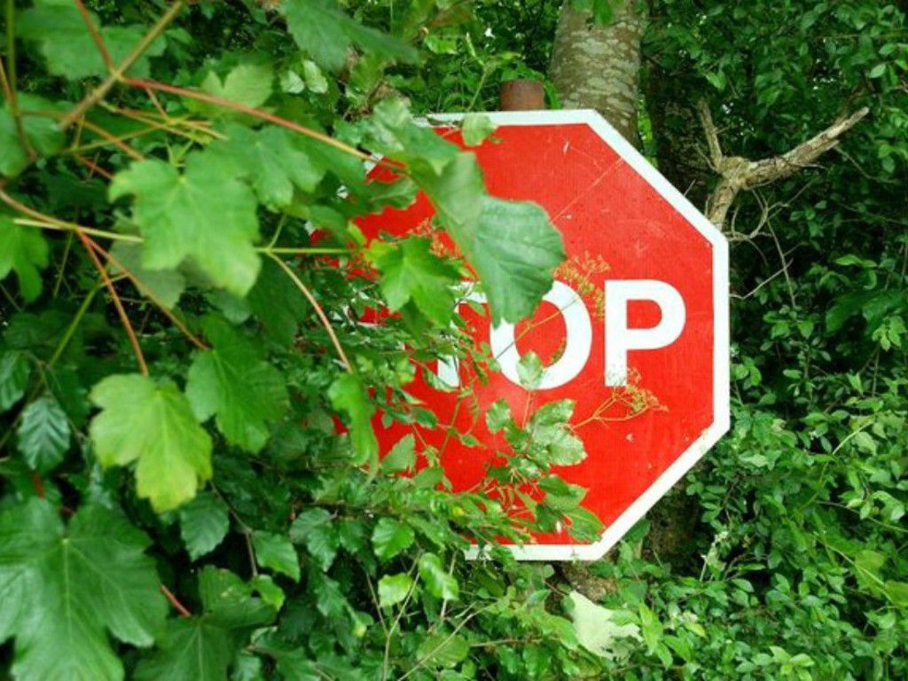 1_Road_sign_near_Donegore_-_geograph.jpg.optimal.jpg