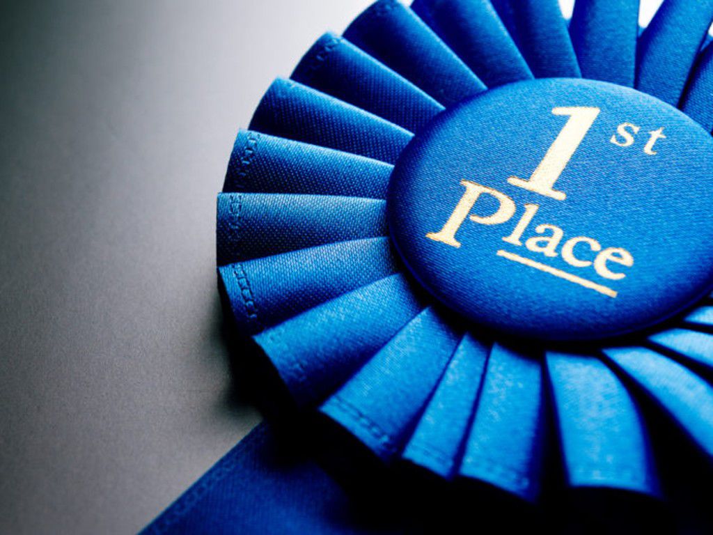 1st-place-2-shutterstock_217142305-768x517-1.jpg.optimal.jpg