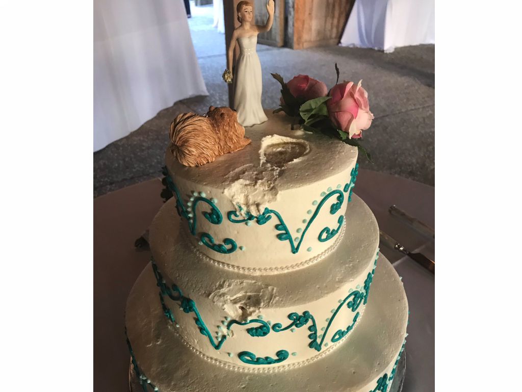 Wedding-Moments-Totally-Cringeworthy-48.jpg.optimal.jpg