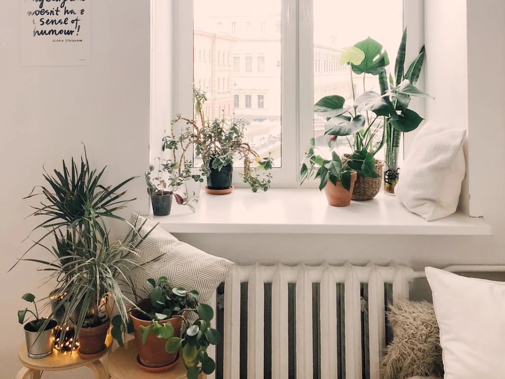 Weird-House-Rules-Made-Guests-Feel-Unwelcome-01.jpg.optimal.jpg
