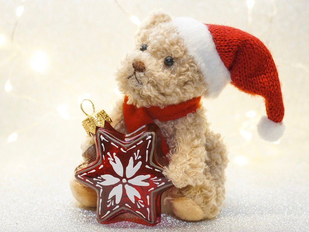 brown-bear-plush-toy-1661286jen-batler.jpg.optimal.jpg