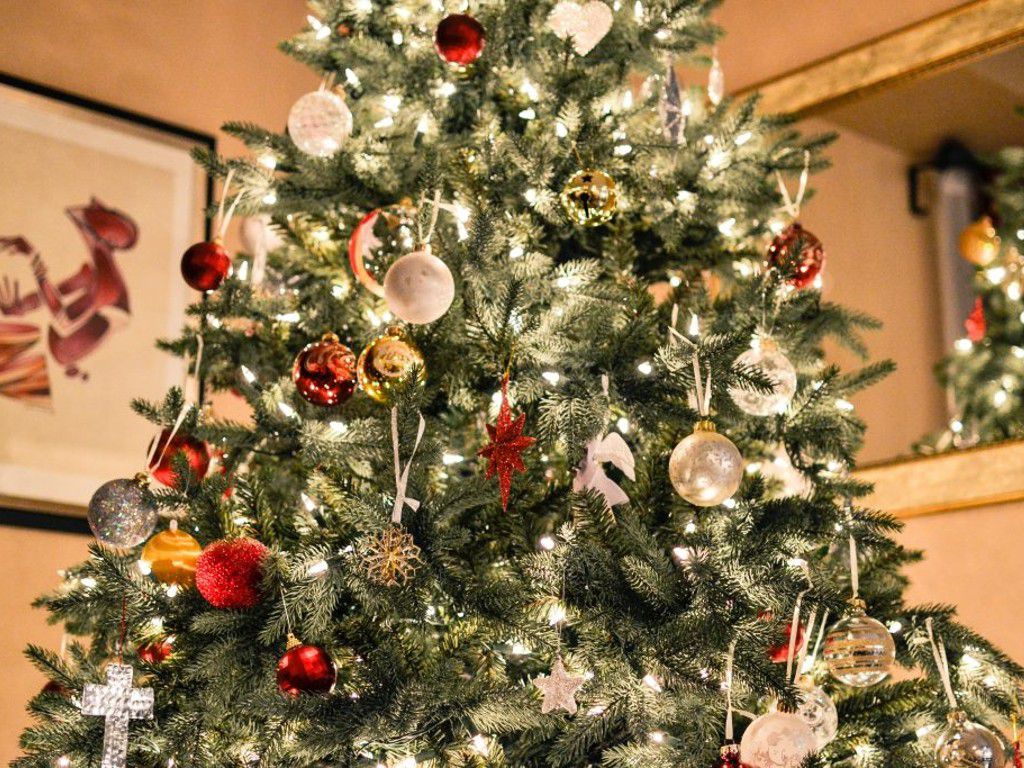 christmas-tree-1081981-1024x683pixabay.jpg.optimal.jpg