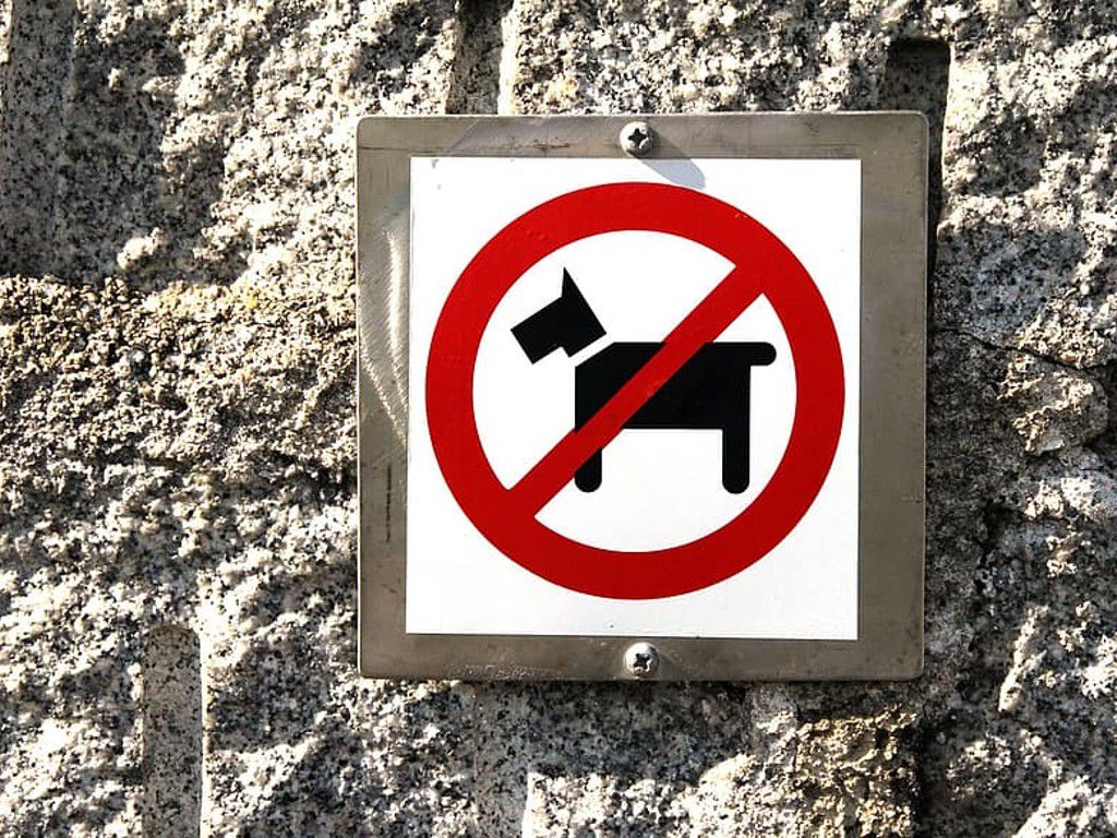 dog-prohibited-ban-sign-dog-ban-prohibitory-no-dog-toilet-warning.jpg.optimal.jpg